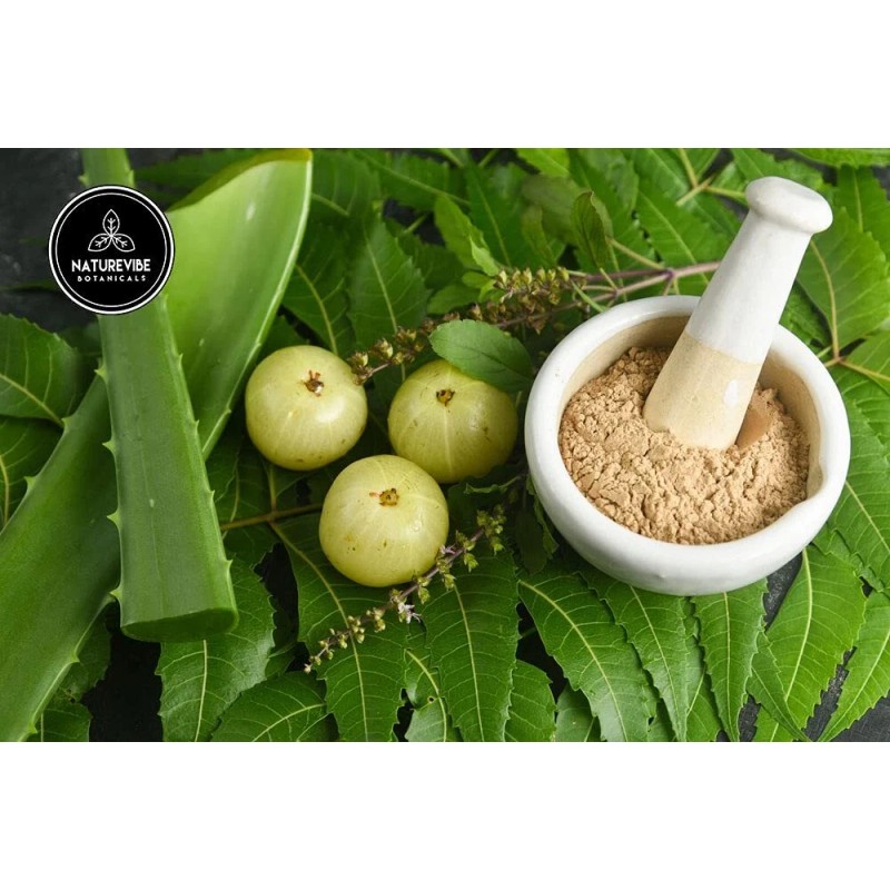 Naturevibe Botanicals Organic Amla Berry Powder, 8 ounce by Naturevibe