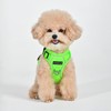 Puppia Neon Dog Harness H Sturdy Adjustable Neck and Chest