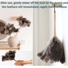 Feather Duster, Feather Dusters for Cleaning Ddzmz Fluffy Natural Genuine