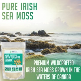 XPRS Nutra Irish Sea Moss Powder (Chondracanthus Chamissoi) - Premium Wildcrafted Seamoss Powder for Glowing Skin - Total Body Health Sea Moss Drink Powder - Vegan Friendly Irish Moss Powder (4 oz)