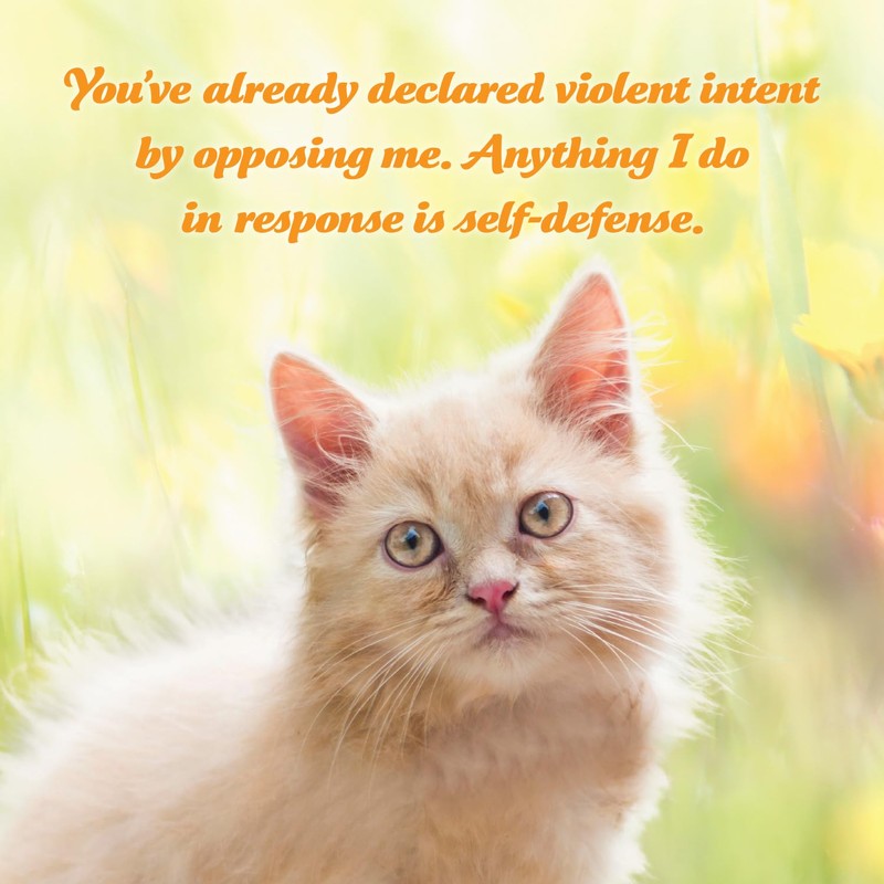 Social Justice Kittens 2026 Calendar