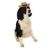 Rubies Cowboy Pet Hat for Dogs or Cats, S/M