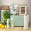 Apollo Mint Towel holder, Wood, 12x35x12