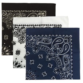 USA Made Military Army Trainmen Paisley 22 / Hav A Hank Paisley Bandana Made in USA (Set of 3) (A BK-WH-NV)