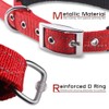 PETBABA Dog Collar, Leather, Dog Collar, Medium Dog, Large Dog,