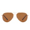 Piranha Charter Gold Aviator Sunglasses for Men with Brown Polarized