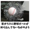 Funny Sticker Car Window Glass Baseball Inlay Joke Proud