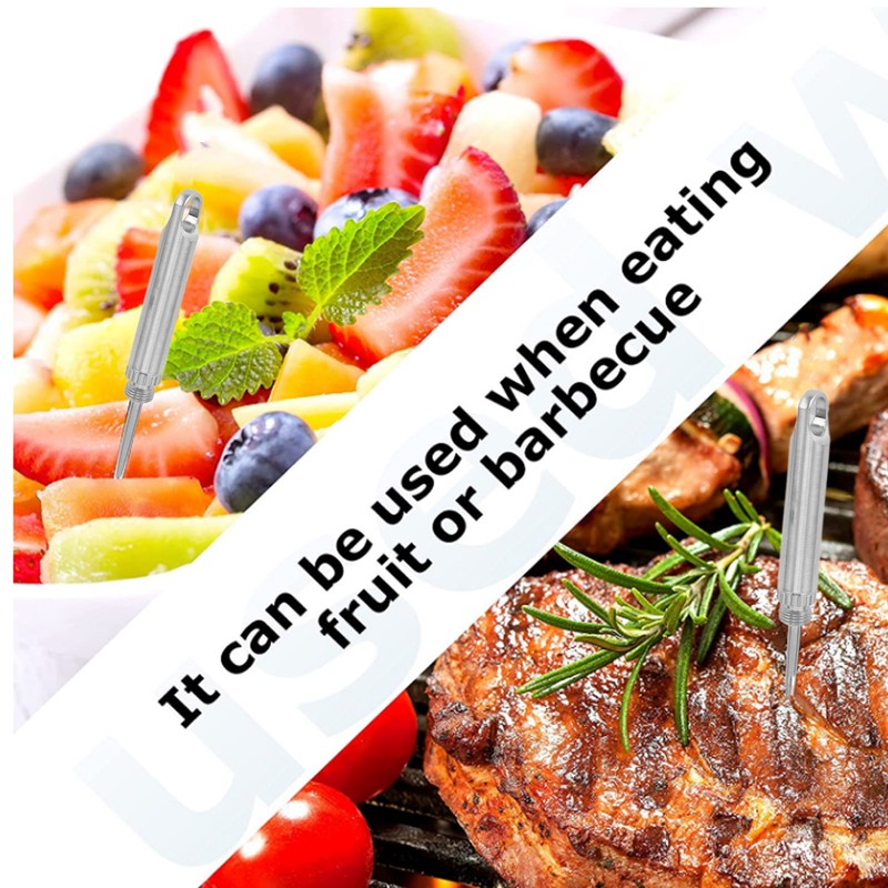 Portable Titanium Toothpicks Reusable Metal Pocket Toothpicks for Picnic Camping