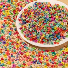1700 PCS Bulk Tiny Dried Flowers for Resin - Small Dried Flowers for Crafts, Natural Real Mini Dried Pressed Flowers for Jewelry Earrings Epoxy Molds, Candles Making, Soap Making, Nail Art