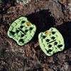 LOOK TRAIL GRIP LIME PEDAL