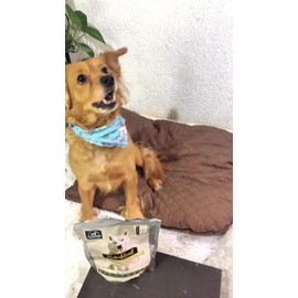 Nutriblend Suplemento Para Perro, Digestión Y Articulaciones                                                                                          