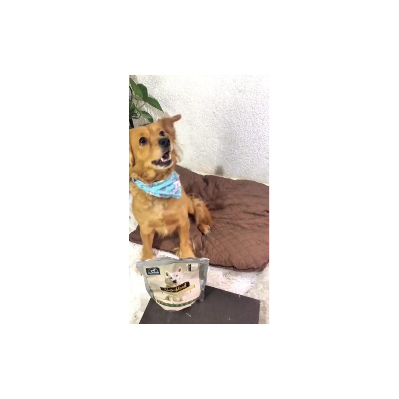 Nutriblend Suplemento Para Perro, Digestión Y Articulaciones