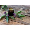 Natural Comfrey Ointment 120ml: bone break, fractures, wounds, joint &