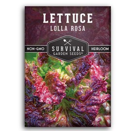 1 Pack Lolla Rosa Lettuce Seed for Planting - Packet with Instructions to Grow Red & Green Leaved Lettuce in Your Home Vegetable Garden - Non-GMO Heirloom Variety - Survival Garden Seeds
