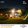LED 12V Light Bulb, 100W Equivalent, Soft White 2700K, 13W