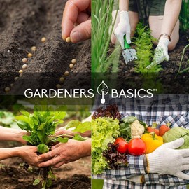 Gardeners Basics Survival Vegetable Seeds Garden Kit Over 16,000 Seeds - 35 Varieties Seeds