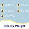 Ditto Baby Diapers Size 4 (160 Count) – Breathable Disposable