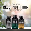 Reset Nutrition Krill Oil Omega 3 6 9 Plus 60