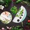 Herb Scissors 5 Blade Kitchen Salad Scissors Set with Herb