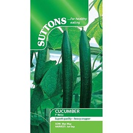 Suttons Seeds Suttons - Cucumber (All Female) Seeds - F1 Bella