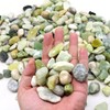 Premium Pebbles Rocks for Plants. Green Jade Polished Decorative Pebbles.