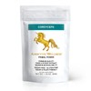 Addictive Wellness Cordyceps CS-4 Extract Powder - Pure & Potent