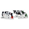 Dept 56 Herd of Holiday Heifers