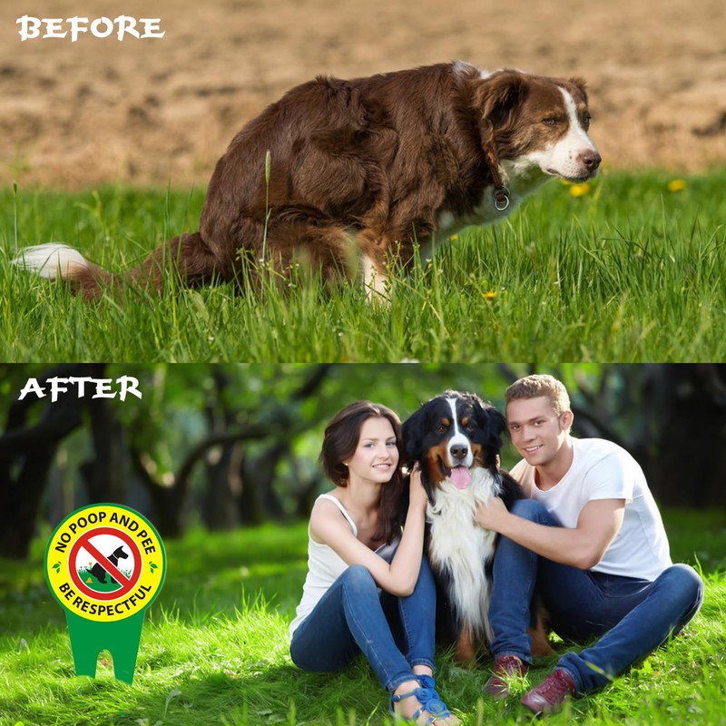 No Dog Poop Signs 2 Pack - Aluminum High Temperature
