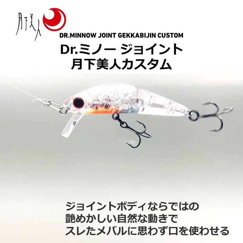 DAIWA Joint Minnow Dr. Minnow Joint 5S Lunate Beauty Custom