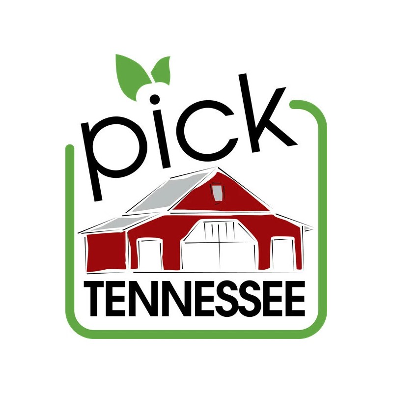 Merritt-Pop Premium Microwave Tennessee Popcorn - 20 packs Variety flavors