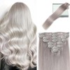 LORIEN Silver Grey Clip in Hair Extensions Real Human Hair