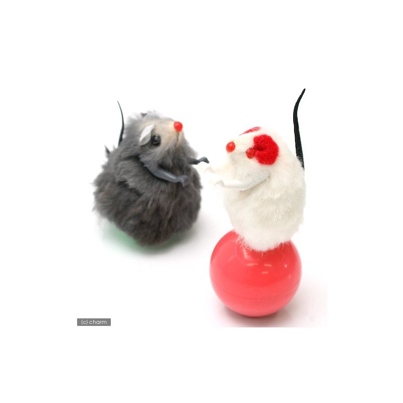 Doggy Man Jare-Cat Nyanchu Punch, Pack of 2