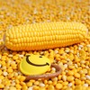 Rzcin Yellow Pet Dog Puppy Latex Corn Shape Squeaky Bite-Resistant