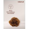 HAWLIK Vital Mushrooms Organic Maitake Powder - 100 g in