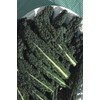 Viridis Hortus - Nero Di Toscana Borecole Curly Kale 3,000