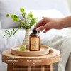 Craft & Kin Lily & Jasmine Diffuser Reed Diffuser |