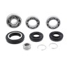 Bearing & Seal Kit for Honda FourTrax 300 TRX300 1988-2000