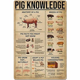 UOAIUDT Vintage Pig Knowledge Metal Plaque Poster Anatomy Of A Pig Retro Metal Tin Sign Plaque Wall Decor Gift For Bathroom Restaurant Farm Bedroom Cafe School 12x16 Inch