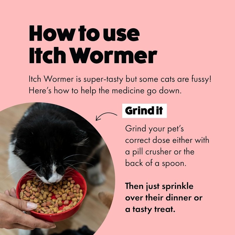 Itch | Worming Tablets for Cats | 4 Tablet |