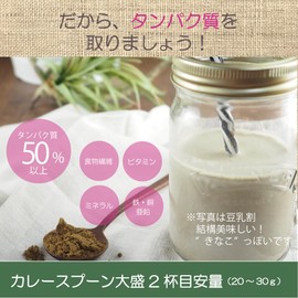 非加熱ヘンププロテインパウダー (400g/2Kg) 純度100％ 麻 ボタニカル ノンフレーバー ビーガン たんぱく質 タンパク質 (400g, アンフレーバー)