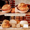 Sourdough Starter Kit for Beginners – Easy All-in-One Bread Baking