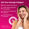 Péptidos de colágeno FORTIBONE Premium para la salud ósea con
