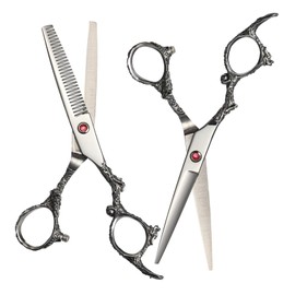 VICASKY 2pcs Professional Barber Scissors Ergonomic Stainless Steel Hair Cutting Shears for Salon Home Use Smooth and Thinning Scissors Comfortable Grip for Precise Hairdressing