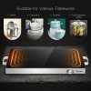 22 X 14 Inch Electric Warming Tray Hot Plate Dish