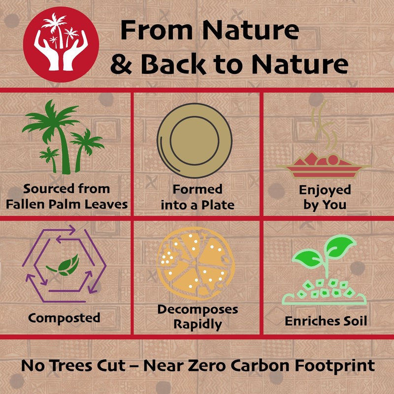 Compostable Palm Leaf Plates - 10 Inch Square [50-Pack] Microwave