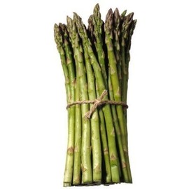 Pack of 20 Asparagus Roots - Variety "Mary Washington"