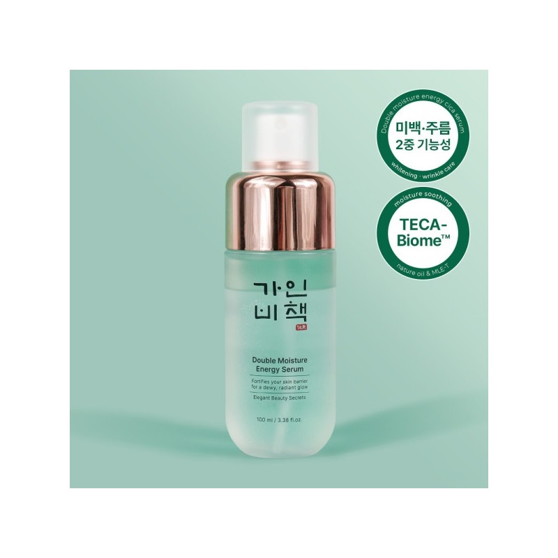 Gain B Book Double Moisture Energy Cica Serum 100ml Oil
