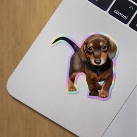 Holographic Decal Stickers of Cute Dog Premium Waterproof Vinyl Decal Stickers for Laptop Phone Accessory Helmet Car Window Mug Tuber Cup Door Wall Decoration ANDVER3g9458aHO