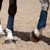 Masta Air-Flux Horse Brushing Boots - Training Neoprene Protective Wrap