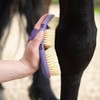 AIMALL Oval Horse Cleaning Brush - Versatile Riding Comb with